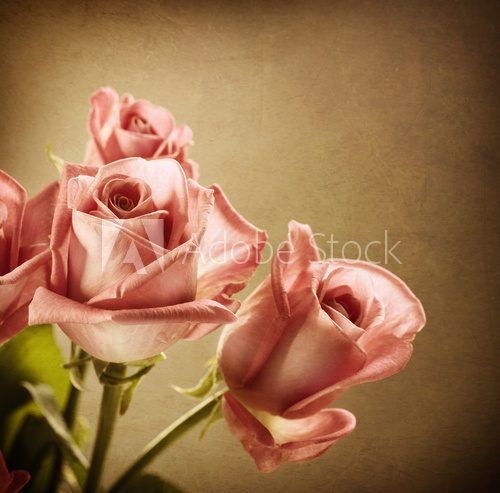 Beautiful Pink Roses Vintage Styled Sepia toned