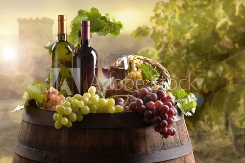 Bottles of wine with barrel on vineyard 