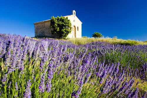 chapel, Plateau de Valensole, Provence, France