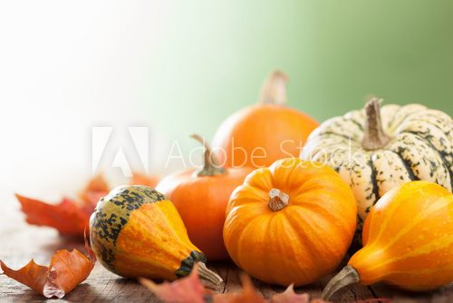 decorative mini pumpkins on wooden background 