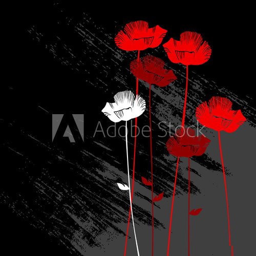 floral background, poppy with a space for your text