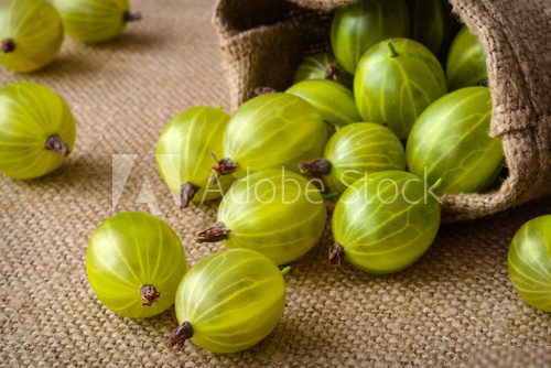 green gooseberries on fabric background 