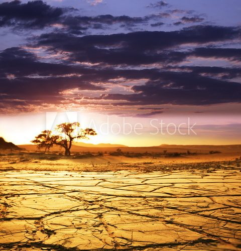 Namibia – afrykański raj
