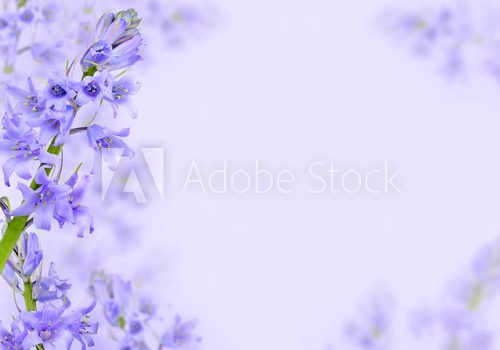 Abstract purple spring flowers background 