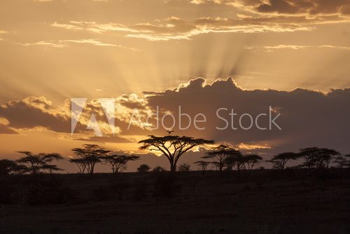 Afrikanischer Sonnenuntergang 
