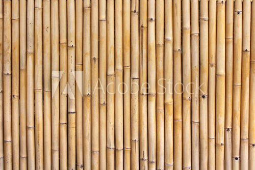Aus Bambussen gewebt