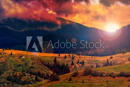 autumn hillside with red and yellow forest 