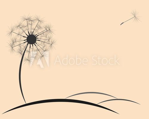 background dandelion fluff 