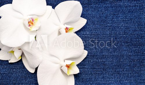 background with a flower 