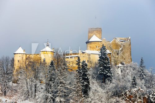 Beautiful view of Niedzica castle, Poland, Europe 