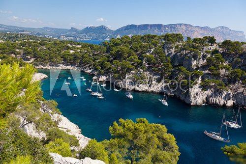 Calanques of Port Pin in Cassis