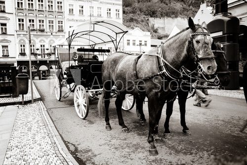 carriage 