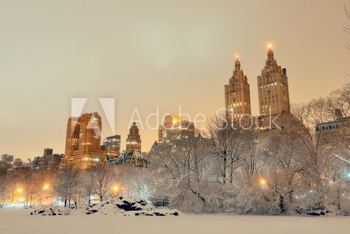 Central Park winter 