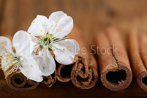 cherry flowers and twigs on a wooden background 