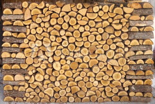 Chopped wood Pile 