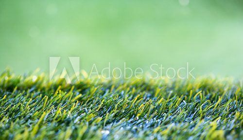 Close Up background of Green Grass 