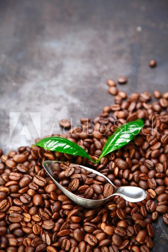 Coffee bean background over grey texture