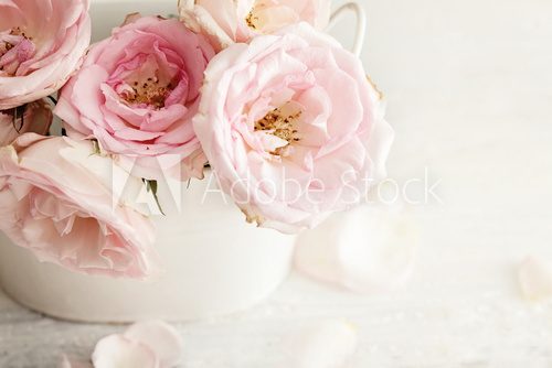 Die Schönheit in der weißen Vase 