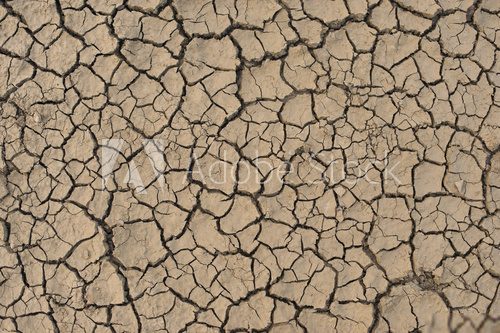Dried Earth Background