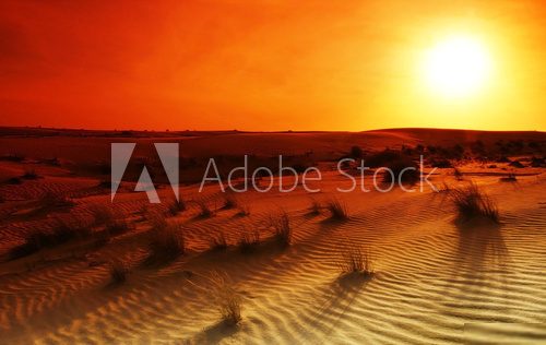 Extreme desert