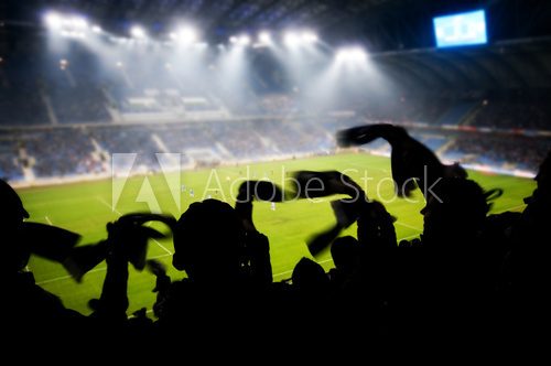 Fans celebrating a goal on football / soccer match 