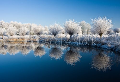 frost and a blue sky