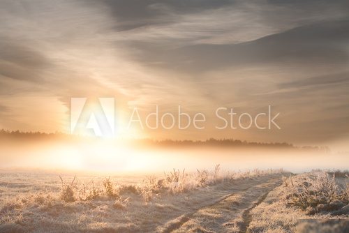 Frosty Sunrise. Landscape photo. 