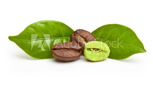 Green and black coffee beans on white background.