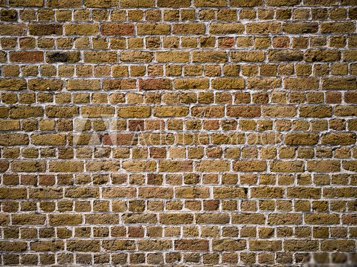 Grungy Brick Wall 