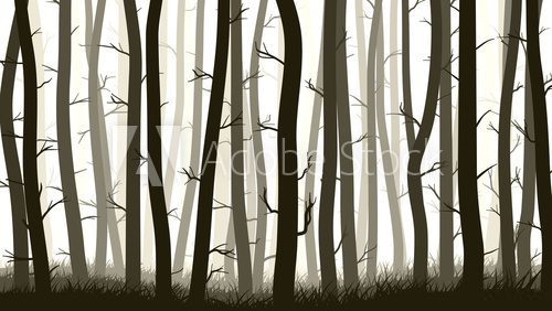 Horizontal illustration with many pine trees. 