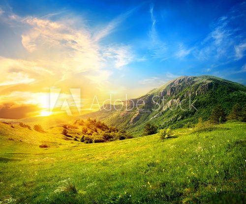 Meadow in mountains 