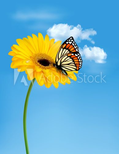 Nature summer yellow flower with butterfly. Vector illustration. 
