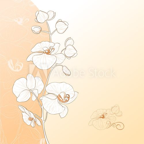 Orchid flower card 