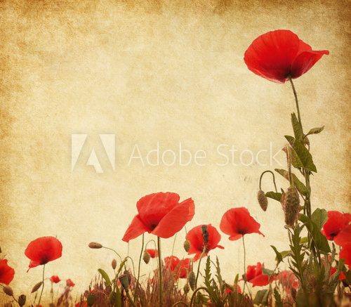 Paper texture with poppies. 