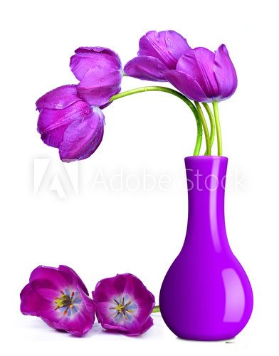 purple tulips in vase 