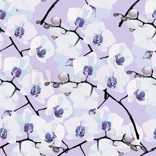 seamless pattern of flower orchids 