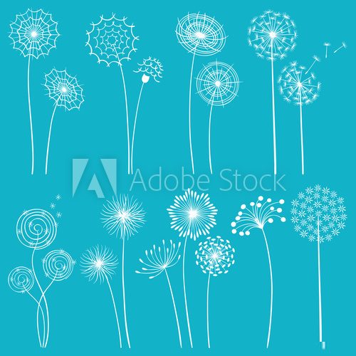Set of dandelions 