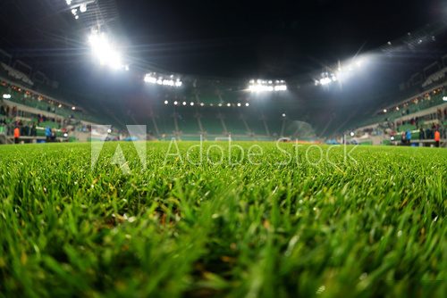 stadium, close up on grass 