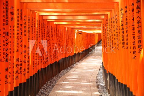 Torii gate tunnel in Kyoto, Japan  