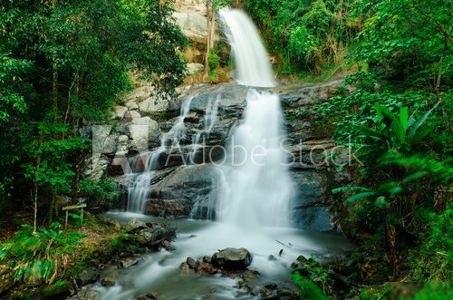 Waterfall in a forest on the mountain 