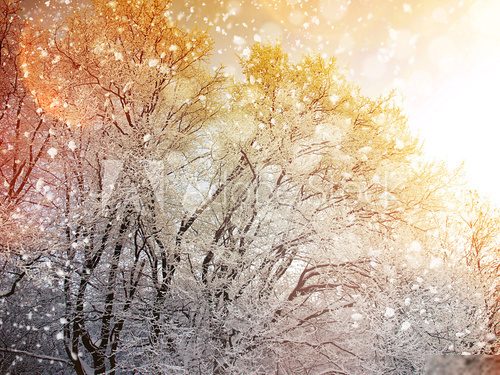 Winter background with falling snow 