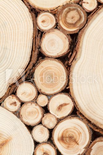 wood background 