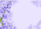 Abstract purple spring flowers background 