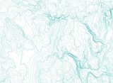 abstract topographic map, vector background
