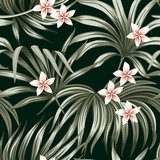 Tropical vintage flower plumeria floral palm leaves seamless pattern black background. Exotic jungle wallpaper.