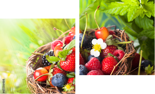 Fresh berries  - Zweiteiliges Leinwandbild, Diptychon