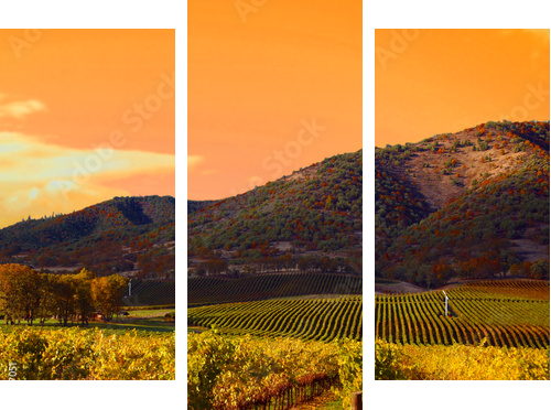 Vineyard Sunset - Dreiteiliges Leinwandbild, Triptychon