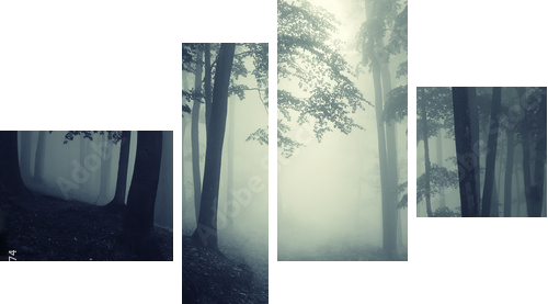 Forest - Vierteiliges Leinwandbild, Viertychon