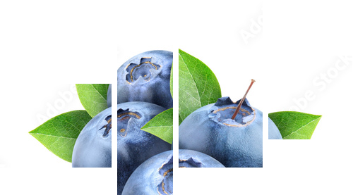 Fresh blueberries isolated on white - Vierteiliges Leinwandbild, Viertychon