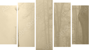 Czerwień otulona mgłą.
 - Fünfteiliges Leinwandbild, Pentaptychon